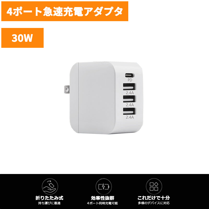 Charger (30W)
