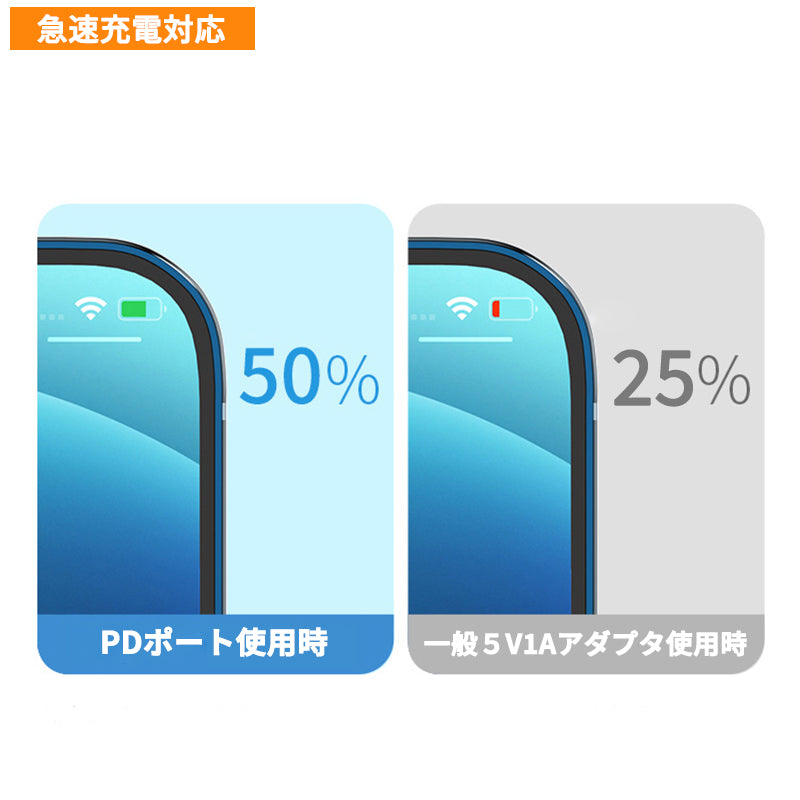 Charger (30W)