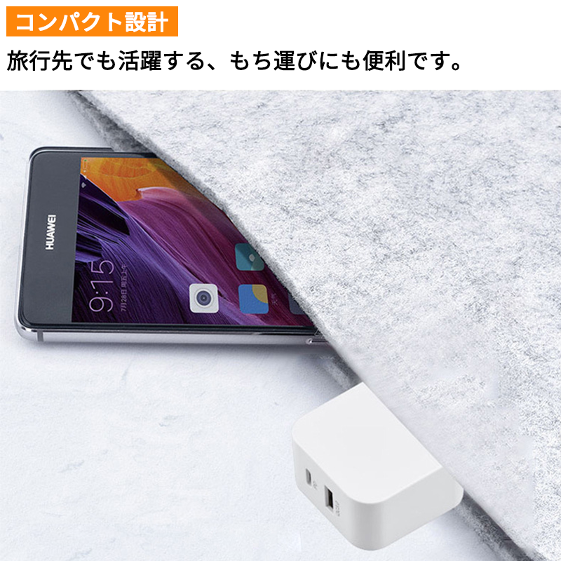 Charger (20W)