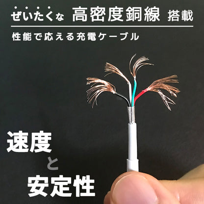 Charger 【Charging Cable Set】